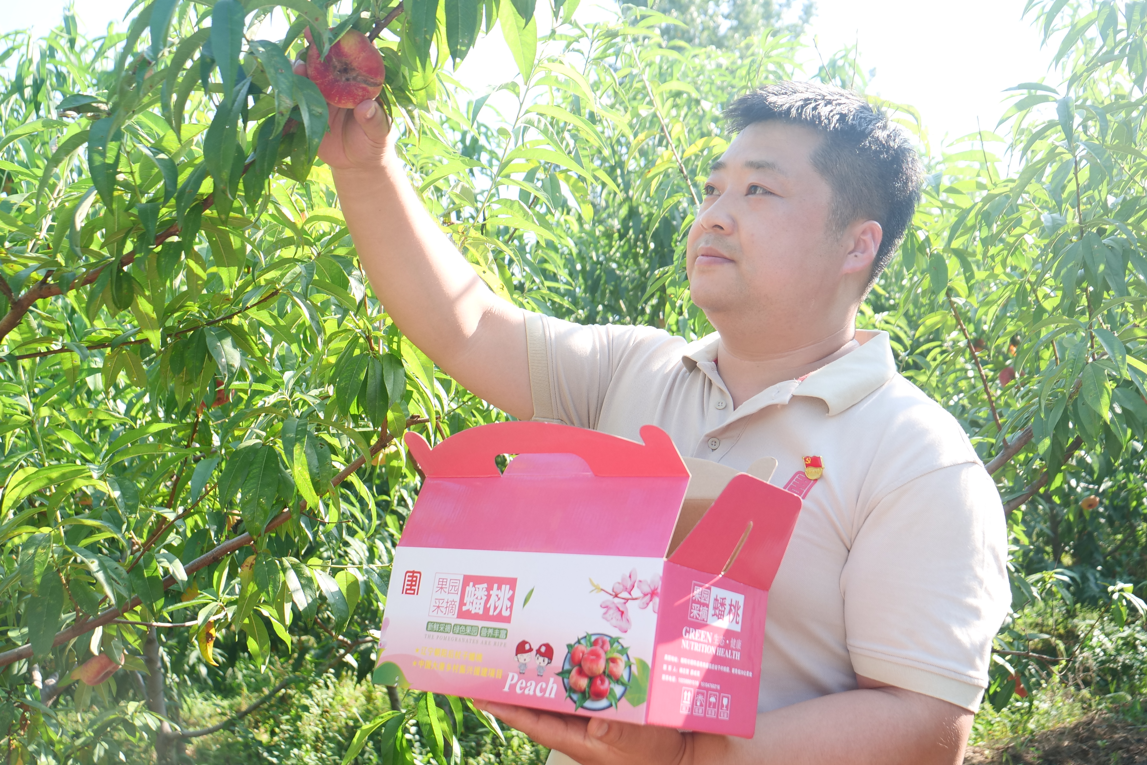 第一書(shū)記摘桃.jpg