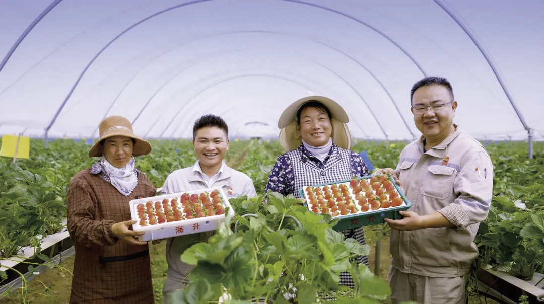 1719191038891094445.jpg 1719191633608.jpg