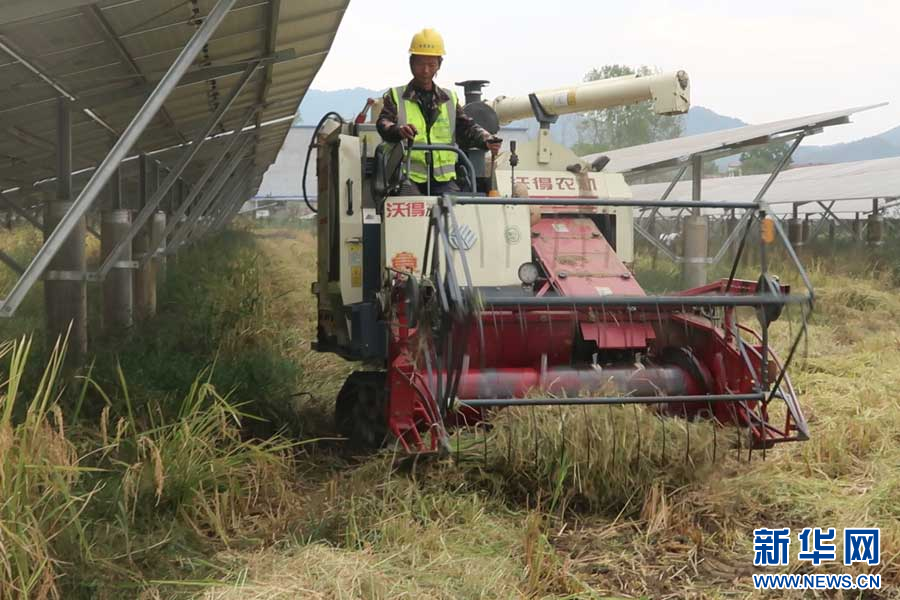 1730336650858036459.jpg 2.jpg